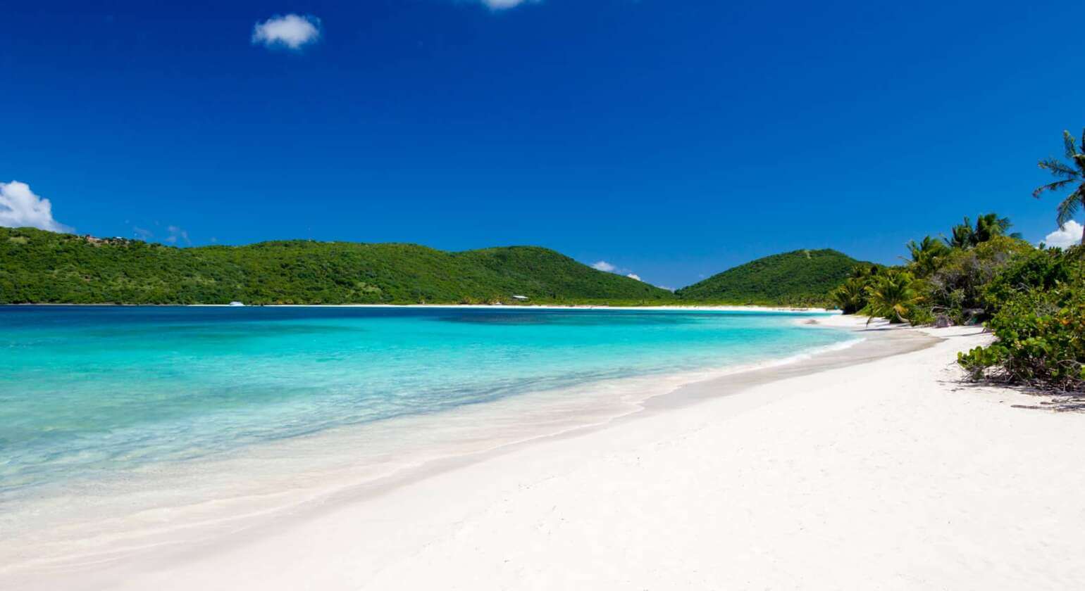 Flamenco, Culebra