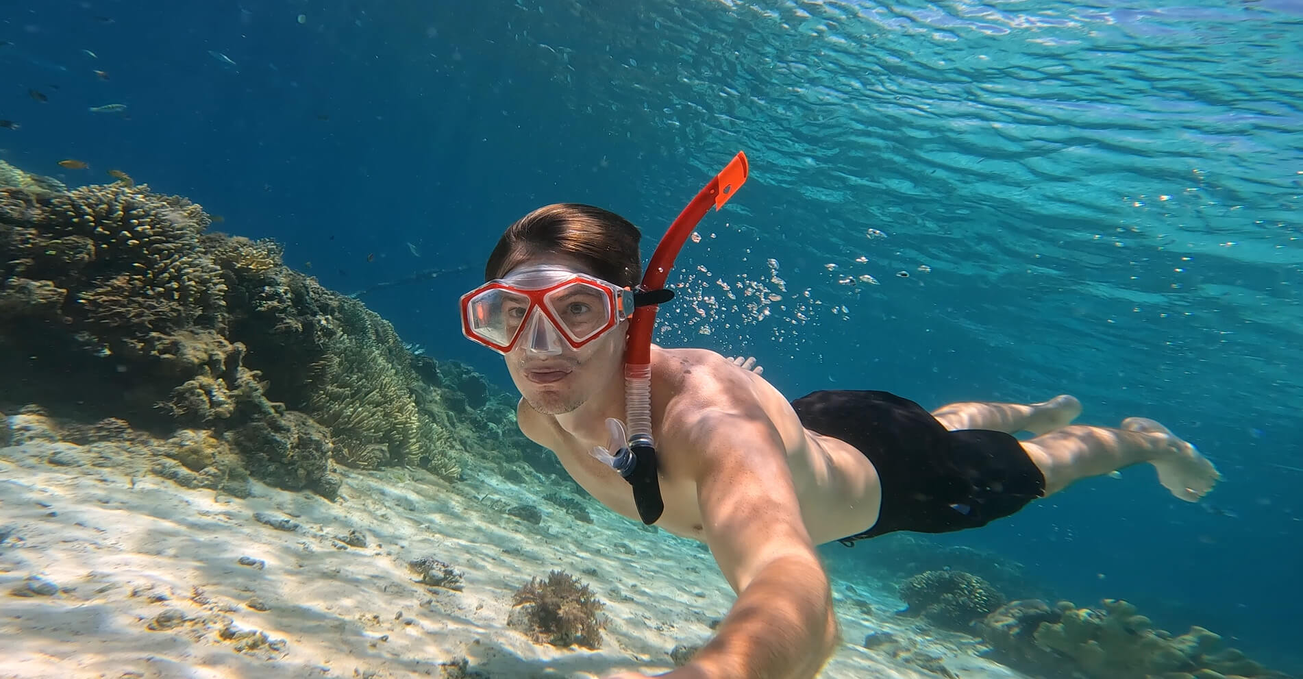 Snorkeling Tours in Puerto Rico